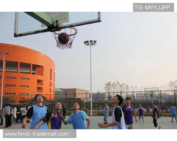 深度对话杨娜探索篮球人生的梦想与挑战之路 深度对话杨娜探索篮球人生的梦想与挑战之路