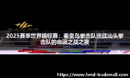 2025赛季世界锦标赛：秦皇岛拳击队迎战汕头拳击队的命运之战之夜