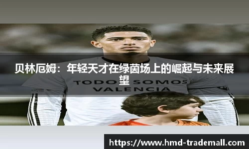 贝林厄姆：年轻天才在绿茵场上的崛起与未来展望