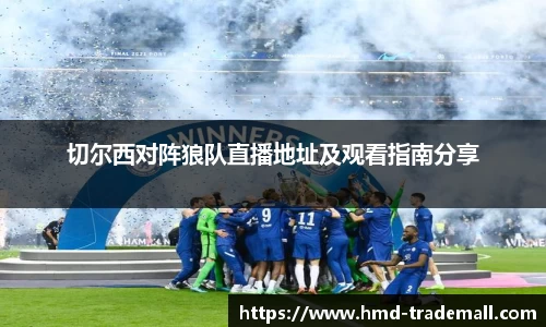 切尔西对阵狼队直播地址及观看指南分享
